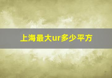 上海最大ur多少平方