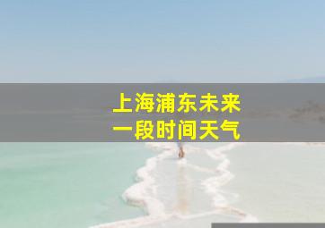 上海浦东未来一段时间天气