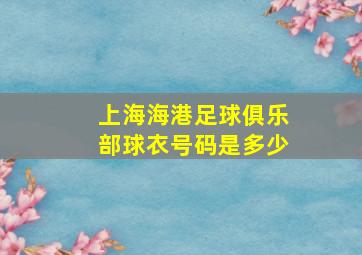 上海海港足球俱乐部球衣号码是多少