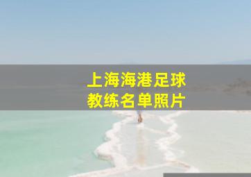 上海海港足球教练名单照片