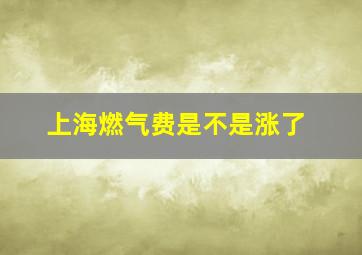 上海燃气费是不是涨了