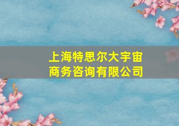 上海特思尔大宇宙商务咨询有限公司