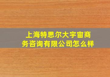 上海特思尔大宇宙商务咨询有限公司怎么样