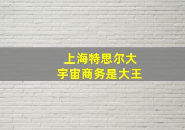 上海特思尔大宇宙商务是大王