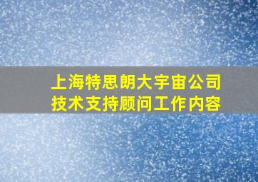 上海特思朗大宇宙公司技术支持顾问工作内容