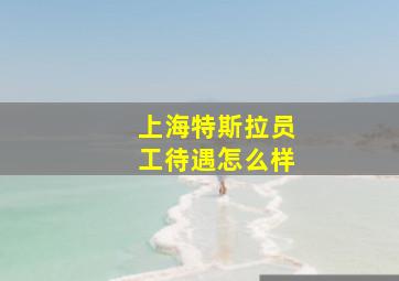 上海特斯拉员工待遇怎么样