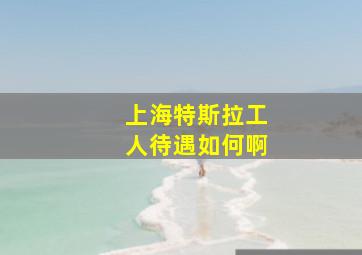 上海特斯拉工人待遇如何啊