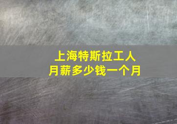 上海特斯拉工人月薪多少钱一个月