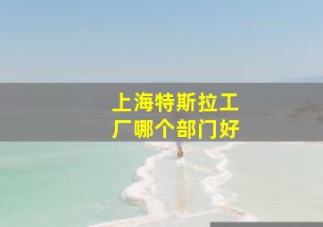 上海特斯拉工厂哪个部门好