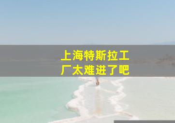 上海特斯拉工厂太难进了吧