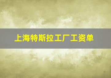 上海特斯拉工厂工资单