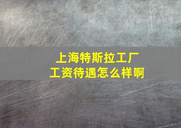 上海特斯拉工厂工资待遇怎么样啊