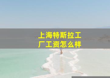 上海特斯拉工厂工资怎么样