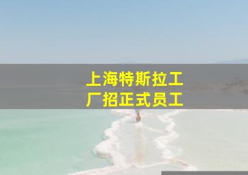 上海特斯拉工厂招正式员工