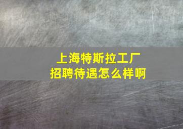 上海特斯拉工厂招聘待遇怎么样啊