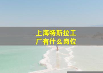 上海特斯拉工厂有什么岗位