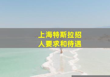 上海特斯拉招人要求和待遇