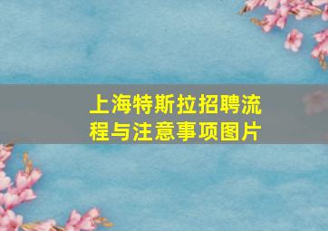 上海特斯拉招聘流程与注意事项图片