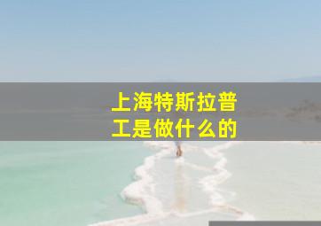 上海特斯拉普工是做什么的