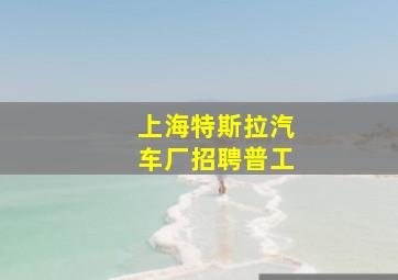 上海特斯拉汽车厂招聘普工