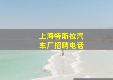 上海特斯拉汽车厂招聘电话