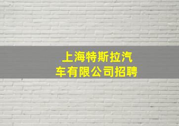 上海特斯拉汽车有限公司招聘