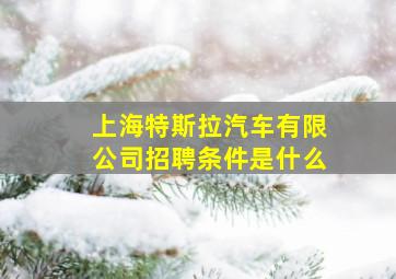 上海特斯拉汽车有限公司招聘条件是什么