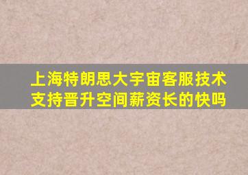 上海特朗思大宇宙客服技术支持晋升空间薪资长的快吗