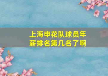 上海申花队球员年薪排名第几名了啊