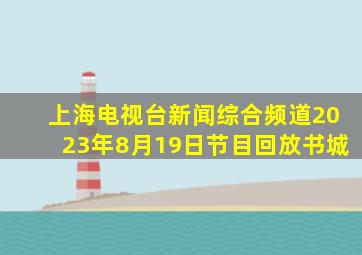 上海电视台新闻综合频道2023年8月19日节目回放书城