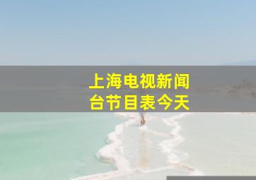 上海电视新闻台节目表今天