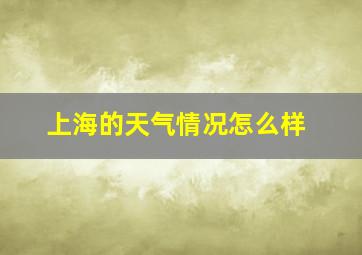 上海的天气情况怎么样