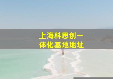 上海科思创一体化基地地址