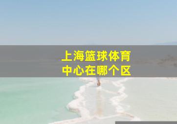 上海篮球体育中心在哪个区