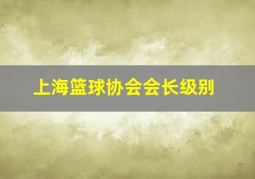 上海篮球协会会长级别