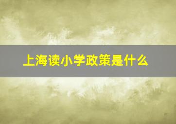 上海读小学政策是什么