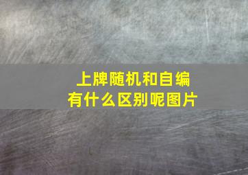 上牌随机和自编有什么区别呢图片