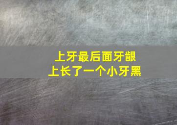 上牙最后面牙龈上长了一个小牙黑