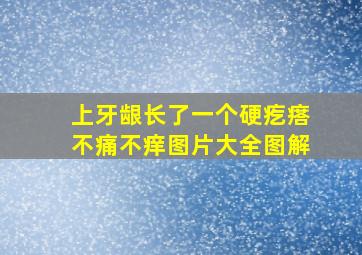 上牙龈长了一个硬疙瘩不痛不痒图片大全图解