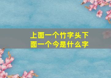 上面一个竹字头下面一个今是什么字