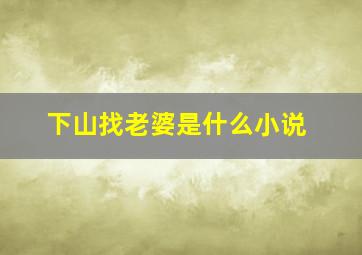 下山找老婆是什么小说