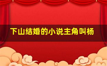 下山结婚的小说主角叫杨