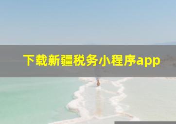 下载新疆税务小程序app