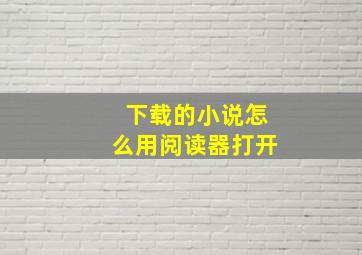 下载的小说怎么用阅读器打开