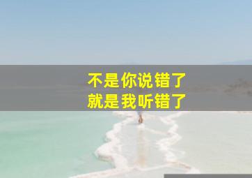 不是你说错了就是我听错了