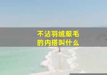 不沾羽绒服毛的内搭叫什么