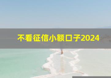 不看征信小额口子2024