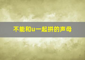 不能和u一起拼的声母