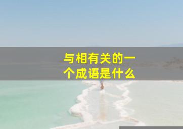 与相有关的一个成语是什么