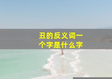 丑的反义词一个字是什么字